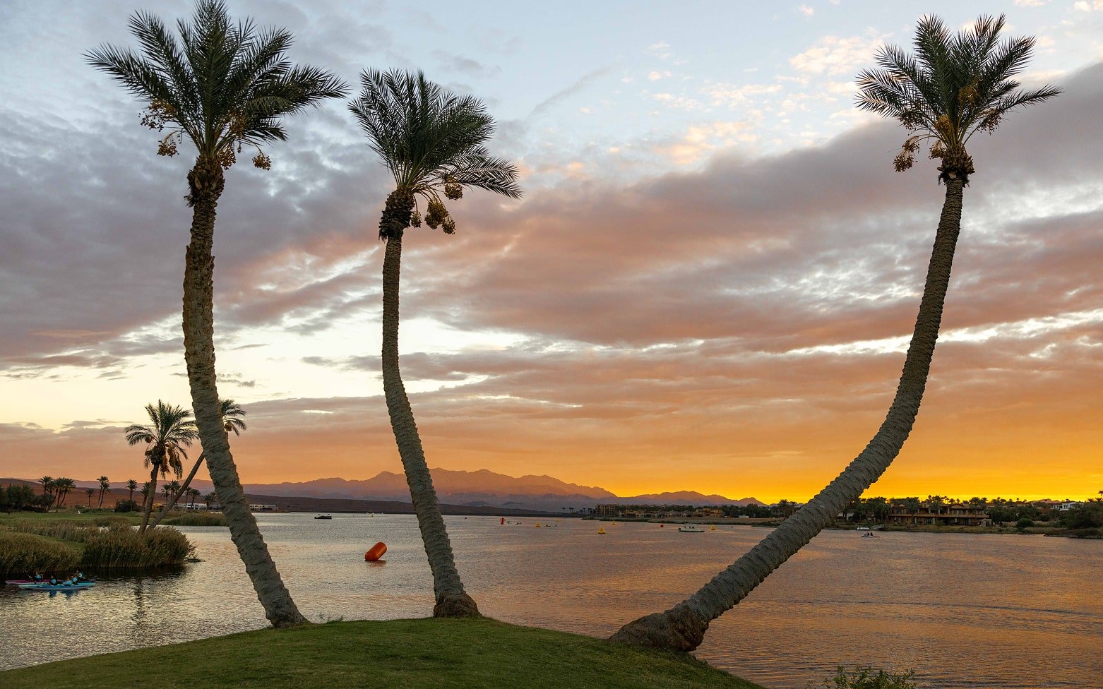 Lake Las Vegas T100  2024 ,  AGE GROUP Westin Resort,   Nevada,  USA (Photo: That Cameraman)