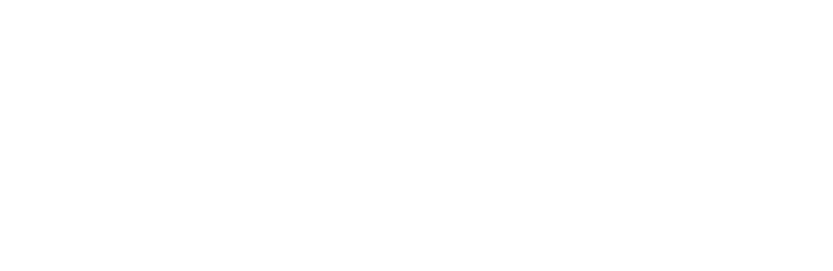 Dubai Sports Council Logo
