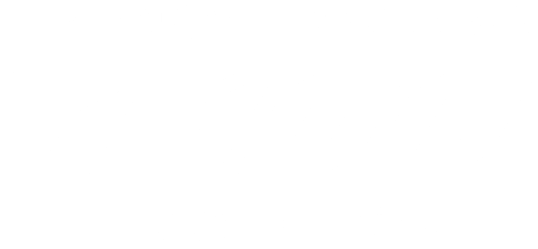 French Riviera T100 Triathlon Logo