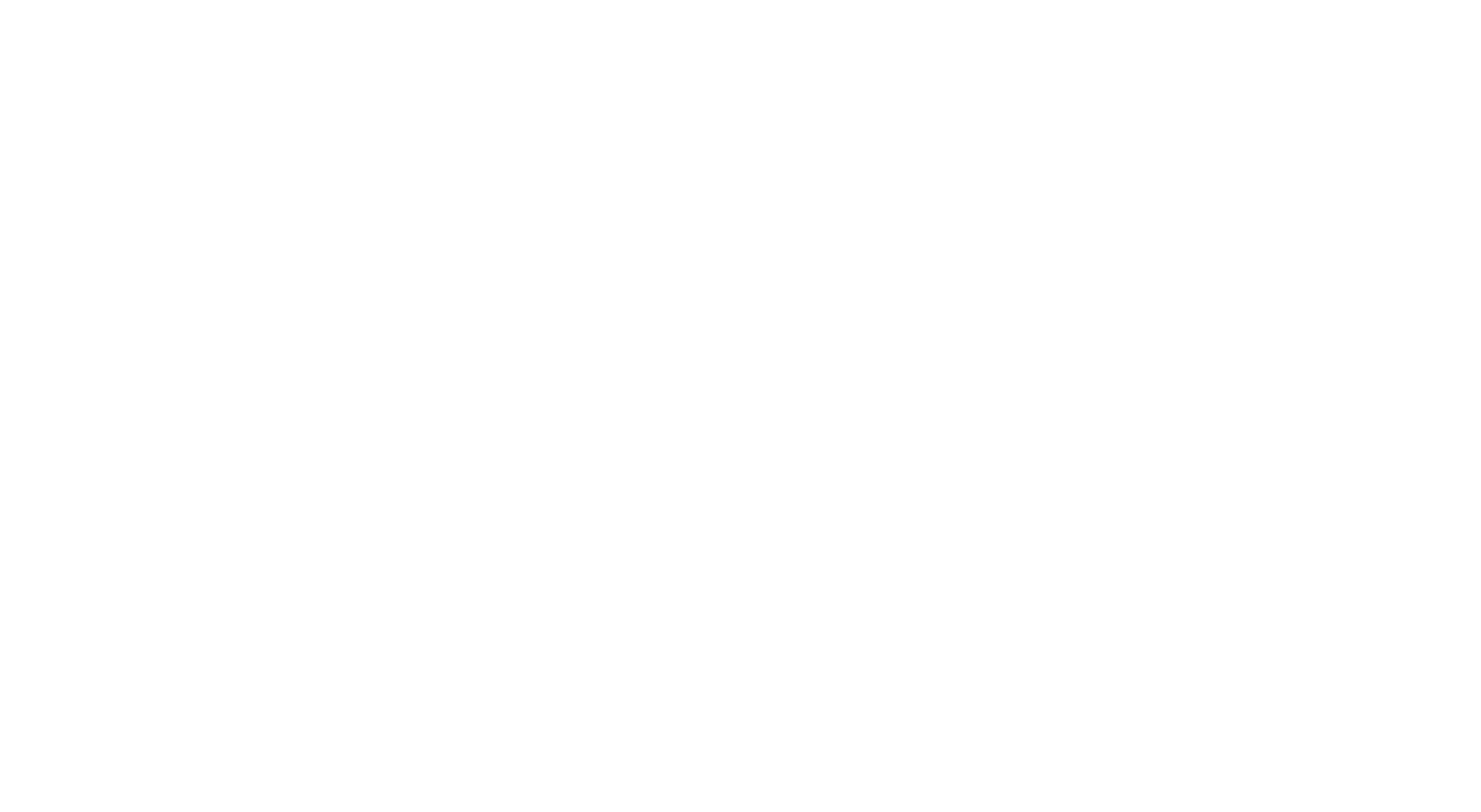 French Riviera T100 Triathlon Logo