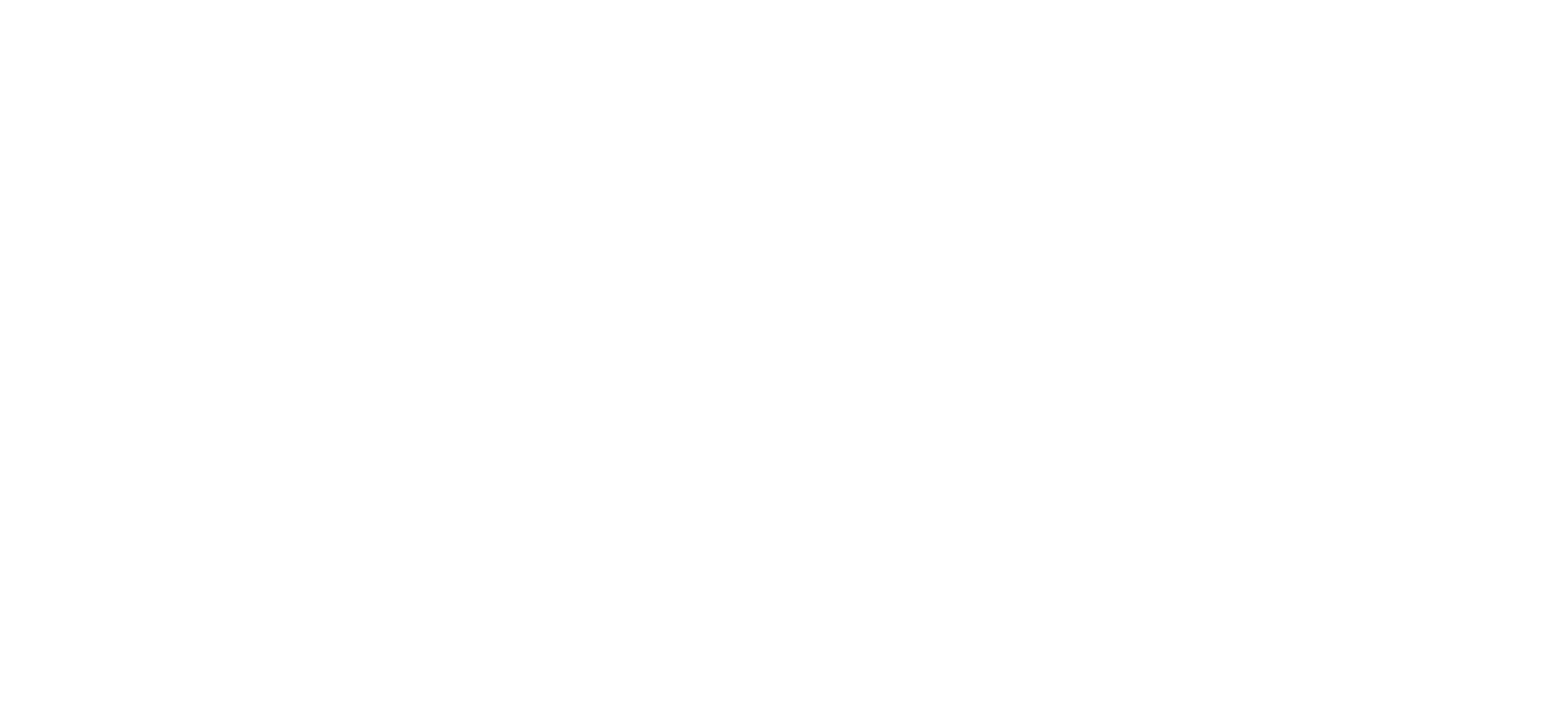 French Riviera T100 Triathlon Logo