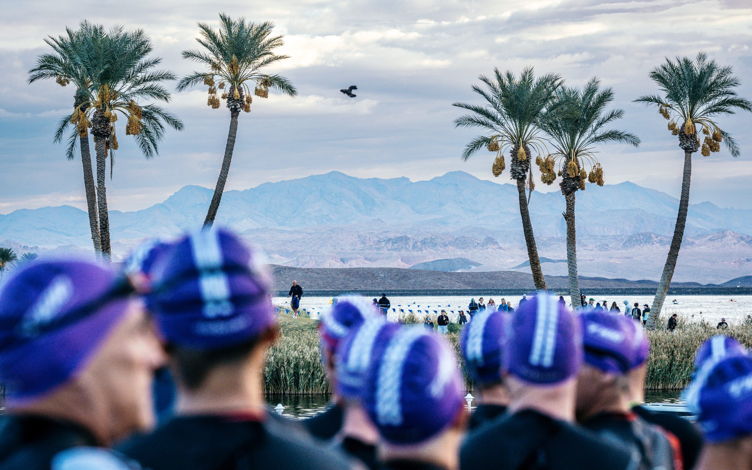 Lake Las Vegas age group race at The Westin Resort on the 20th October 2024 (photo: @by_wout )