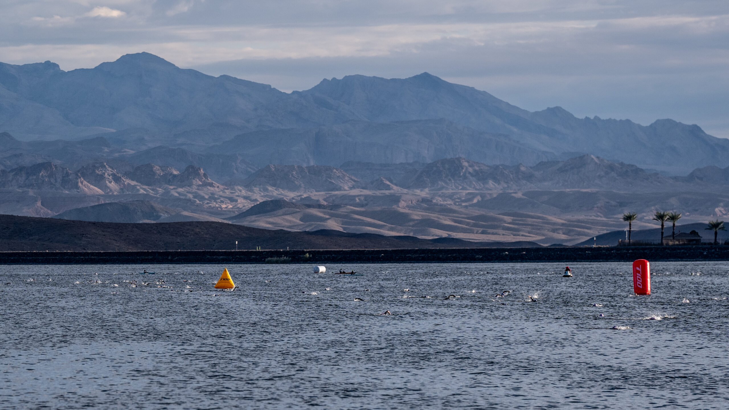 Lake Las Vegas age group race at The Westin Resort on the 20th October 2024 (photo: @by_wout )