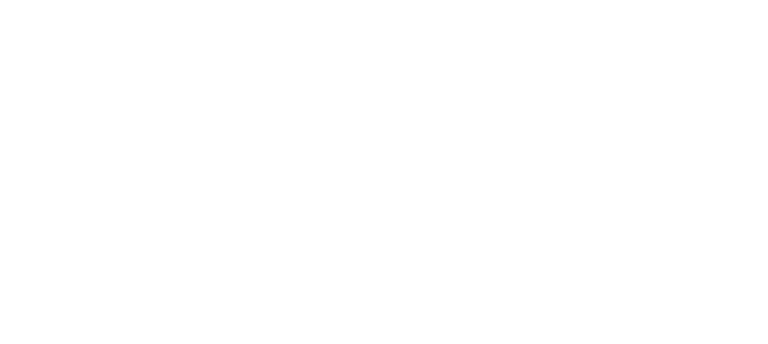 Singapore T100 Triathlon Logo