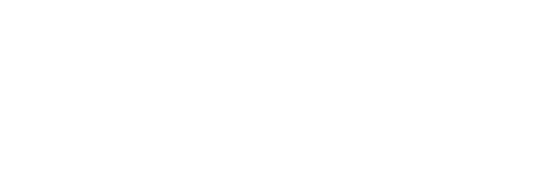 Sokin EFAT Logo